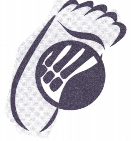 logo_foot.JPG